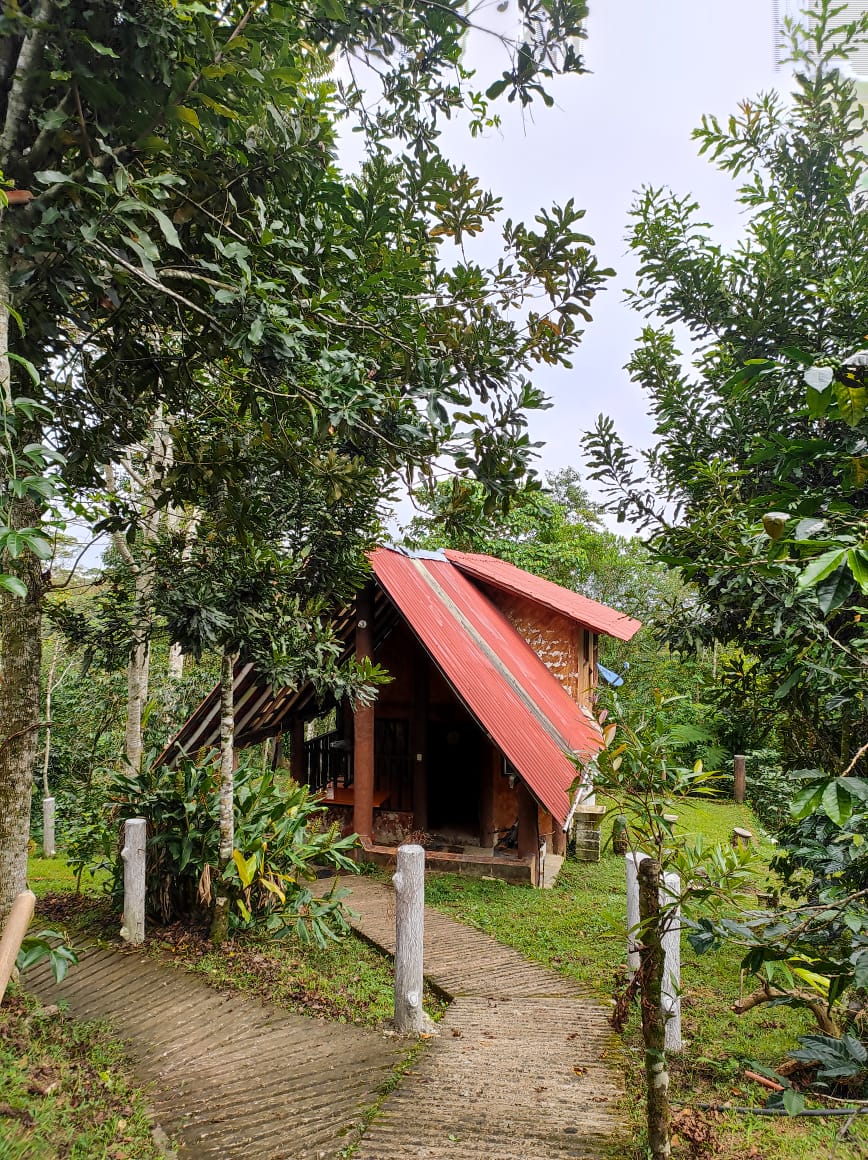 Galería del hospedaje